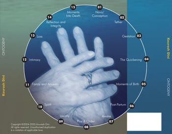 Ontogeny Album back cover - Kourosh Dini