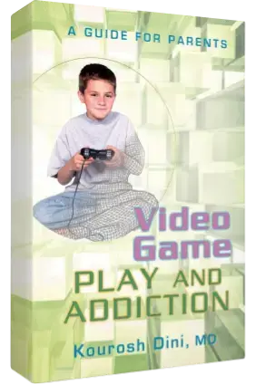 book Video Game Play and Addiction