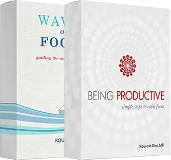 Kourosh Dini courses