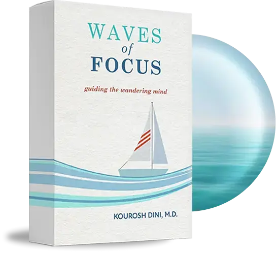 Waves of focus, guiding the wandering mind course book